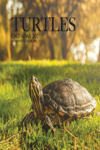 Turtles Calendar 2021