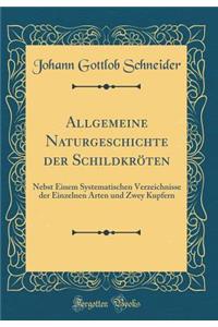 Allgemeine Naturgeschichte der Schildkroeten: Nebst Einem Systematischen Verzeichnisse der Einzelnen Arten und Zwey Kupfern (Classic Reprint)