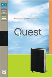 NIV Quest Study Bible