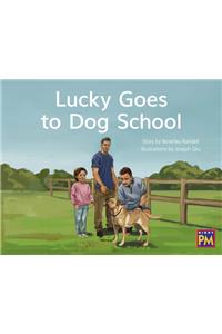 Lucky Goes to Dog School