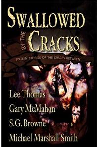 Swallowed By The Cracks