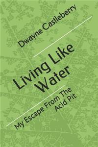Living Like Water