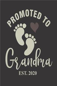 Promoted To Grandma Est. 2020