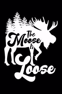 The moose is loose