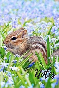 Chipmunk Notebook