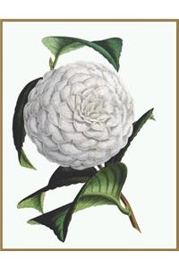 Notebook Camellia