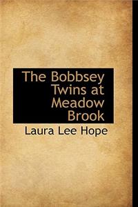 The Bobbsey Twins at Meadow Brook