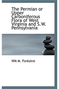 The Permian or Upper Carboniferous Flora of West Virginia and S.W. Pennsylvania