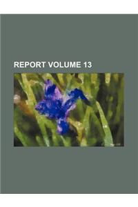 Report Volume 13