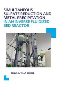 Simultaneous Sulfate Reduction and Metal Precipitation in an Inverse Fluidized Bed Reactor