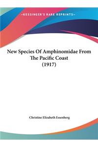 New Species of Amphinomidae from the Pacific Coast (1917)