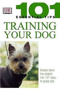 Training Your Dog