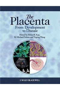 The Placenta