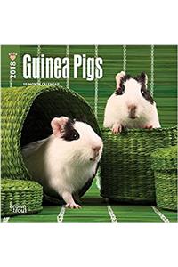 Guinea Pigs 2018 Mini Wall Calendar