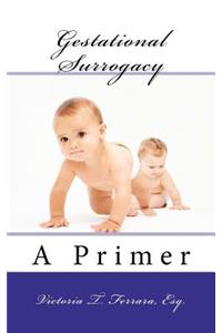 Gestational Surrogacy, A Primer