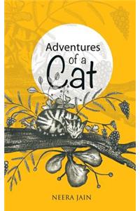 Adventures of a Cat