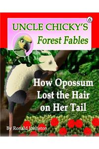 How Opossum Lost the Hair on Her Tail