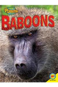 Baboons