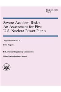 Severe Accident Risks