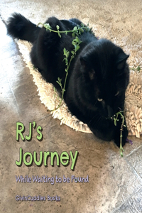 RJ's Journey