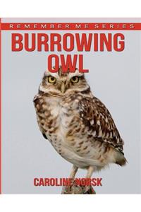 Burrowing Owl