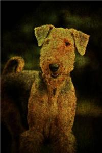 Airedale Terrier