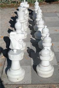 Chess in the Park Journal