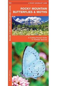 Rocky Mountain Butterflies & Moths