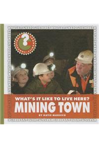 What's It Like to Live Here? Mining Town