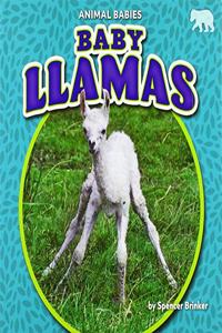 Baby Llamas