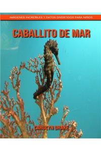 Caballito de mar