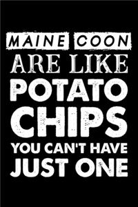 Maine Coon Are Like Potato Chips You Can't Have Just One