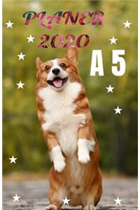 Planer 2020 Für Arbeit mit Uhrzeit, Stunden Kalender, Notizen