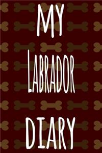 My Labrador Diary
