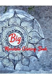 Big Mandala Coloring Book