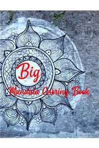 Big Mandala Coloring Book