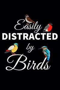 Easily Distracted by Birds