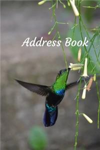 Address Book