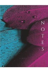 Notes