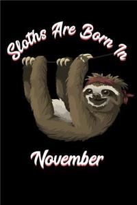 Sloths Are Born in November