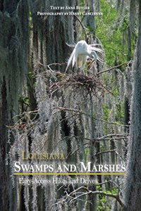 Louisiana Swamps and Marshes