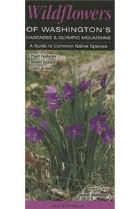 Wildflowers of Washington's Cascades & Olympic Mountains
