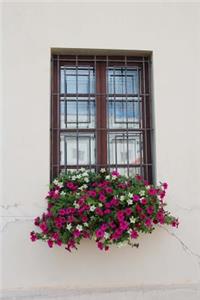 White and Red Flowers in a Window Planter in Venice, Italy Journal