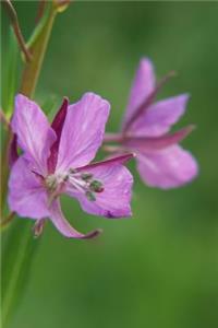 Pinkish Purple Wildflower - Lined Notebook with Margins