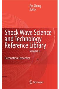 Shock Waves Science and Technology Library, Vol. 6