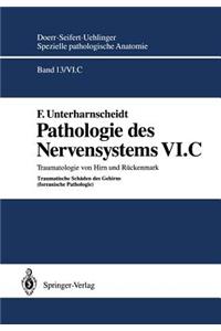 Pathologie Des Nervensystems VI.C