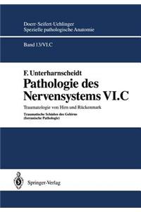 Pathologie des Nervensystems VI.C