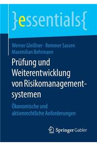 Prüfung Und Weiterentwicklung Von Risikomanagementsystemen: Ökonomische Und Aktienrechtliche Anforderungen