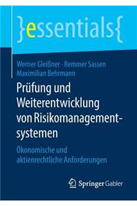 Prüfung Und Weiterentwicklung Von Risikomanagementsystemen