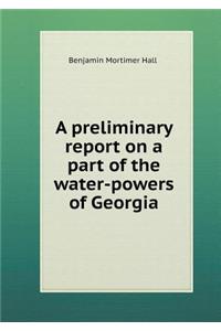 A Preliminary Report on a Part of the Water-Powers of Georgia